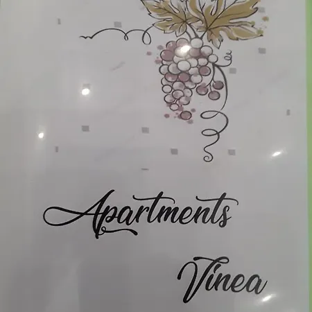 Vinea Umag, Ulica G Garibaldia 2 Apartmán